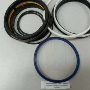 Ремкомплект Клинцы КС-35719 - 200х160 подъема стрелы (c 2001г) (Polypac)