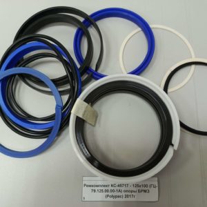 Ремкомплект ивановец КС-45717 - 125х100 (ГЦ-79.125.00.00-1А) опоры БРМЗ (Polypac) 2017г