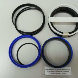 Ремкомплект Ивановец КС-45717 - 125х100 (КС-45717.59.125) опоры (с 1й манжетой) БРМЗ (Polypac) 2б-бп